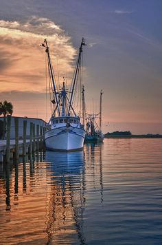 several boats are docked in the water at sunset