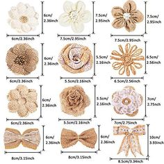 different types of bows and hair clips on a white background with measurements for each one