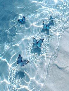 three blue butterflies floating on top of the water in a pool with ripples around them