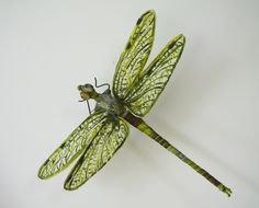 a large green dragonfly sitting on top of a white wall