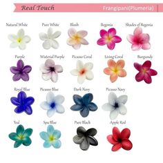 the different types of flowers are shown in this image, and each flower has its own name