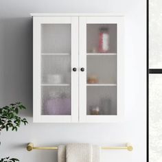 a white cabinet with two glass doors on the wall next to a potted plant