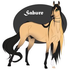 a horse with long hair standing in front of a sign that says sobbure