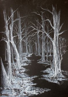 a black and white drawing of trees in the woods