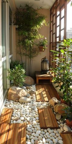 an outdoor area with rocks and plants on the floor