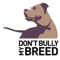 a dog that is sitting down with the words don't bully and breed