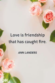 pink roses and green leaves surrounding the quote love is friendship that has caught fire