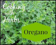 the words cooking with herbs are in front of some green plants and leaves that appear to be oregano