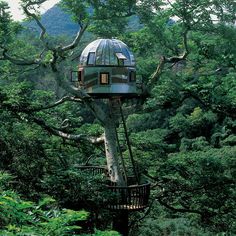 a tree house in the middle of a forest with lots of trees and bushes around it