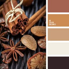 an assortment of spices, cinnamons and cloves are arranged in a color palette