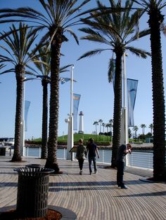 two men walking down a sidewalk next to palm trees