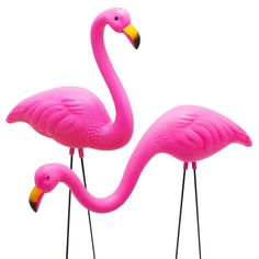 three pink flamingos standing next to each other on black legs with yellow beaks