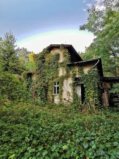 an old abandoned house covered in ivy