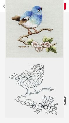 two different pictures of birds on branches with flowers