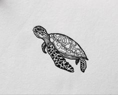 a black and white drawing of a turtle