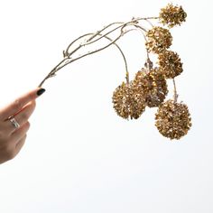 This gold ball twig spray is sure to bring bold glamor to any room in a big way. This oversized twig and branch arrangement features gold-toned accents that lend an opulent feel to your decor. An impressive size, the spray features interesting twigs each tipped with a golden ball for an opulent look that's extravagant yet easy to pair with any style. Bring a little luxury into your Christmas decor with this striking statement piece that instantly elevates any space with just a touch of glitz. Sullivans Gold Ball Spray Christmas Tree Pick | ST1927 GO Christmas Tree Picks, Christmas Picks, Lowes Home Improvements, Gold Christmas, Artificial Flowers, Christmas Decor, Spray, Christmas Decorations, Christmas Tree