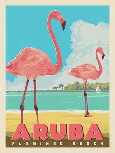 two pink flamingos standing next to each other on a beach