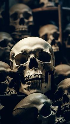 a pile of skulls sitting next to each other