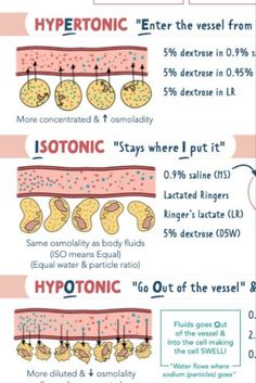 the different types of hypotic and other things that can be found in this diagram