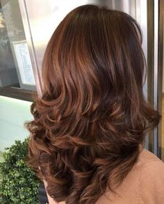 chestnut brown hair color Dark Chestnut Hair, Hair Color For Fall, Hair Color Brown Chestnut, Brown Hair Inspiration, Chestnut Brown Hair, Chestnut Hair, Chestnut Hair Color, Perfect Hair Color, Brown Hair Looks