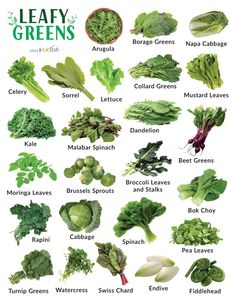 the leafy greens poster is shown with many different types of vegetables and their names