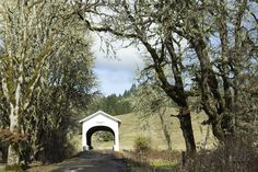 a white tunnel in the middle of a road surrounded by trees and grass on both sides