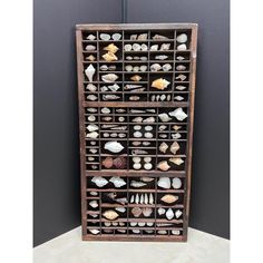 a wooden shelf filled with lots of different types of seashells on it's sides