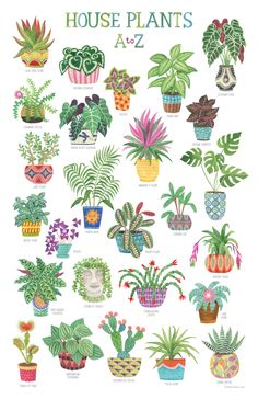 a poster with many house plants on it