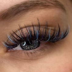 Classic Lash Extensions With Color, Christmas Lashes Extensions, Color Eyelashes, Coloured Eyelash Extensions, Christmas Lash Extensions, Lashes With Color, Eyelash Extensions Pictures, Natural Fake Eyelashes, Blue Eye Color