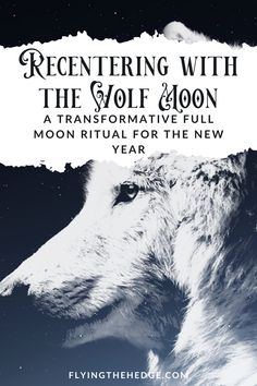 a white wolf with the words regenting with the wolf moon