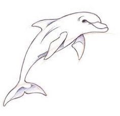 a drawing of a dolphin jumping in the air