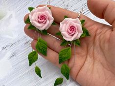 two pink roses with green leaves are being held in someone's hand