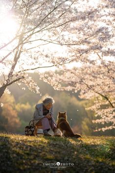 an elderly woman sitting on a bench next to her dog