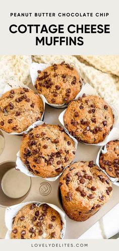 several muffins sitting on top of a pan with text overlay that reads, peanut butter chocolate chip cottage cheese muffins