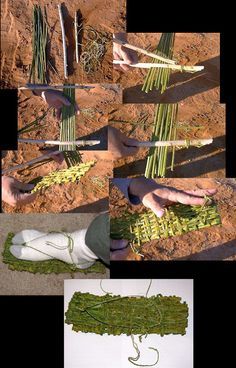 several pictures of different types of plants being used to make something out of wood and grass