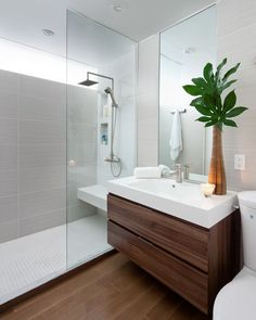 a bathroom with a sink, toilet and shower