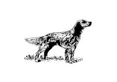 a black and white drawing of a dog standing in the grass with its head up