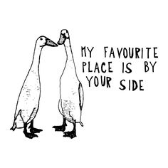 two penguins standing next to each other with the words, my favorite place is by your side