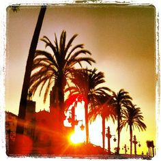 the sun is setting behind some palm trees