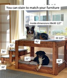 two dogs sitting on top of a wooden dog bed with measurements for the size and height