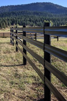 the fence is made of metal and has wooden posts on each side, along with grass