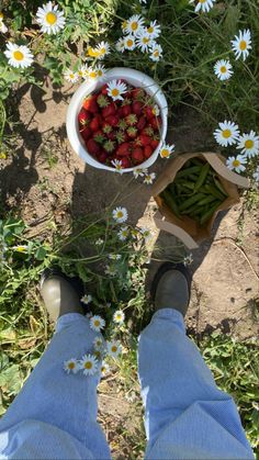 a person standing in the grass next to a bowl of strawberries and daisies