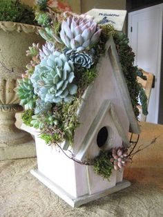 a bird house with succulents and other plants