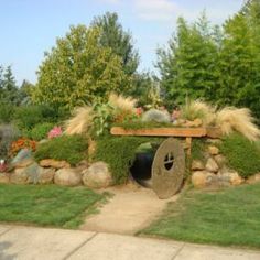 an outdoor garden area with plants and rocks