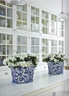 two blue and white flower pots sitting on top of a counter next to a window