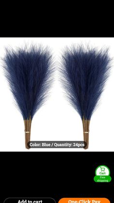 two fake blue feathers are on display in front of an ad for the company's website