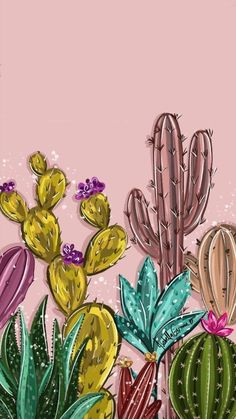 a pink background with many different types of cacti