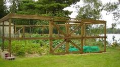 a bird cage sitting on top of a lush green field next to a body of water