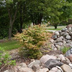 there is a pile of rocks in the yard