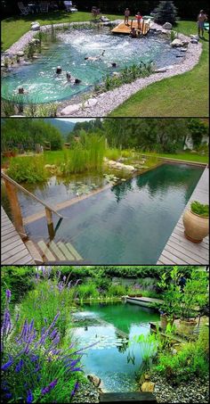 several different pictures of an outdoor swimming pool in the middle of some grass and flowers